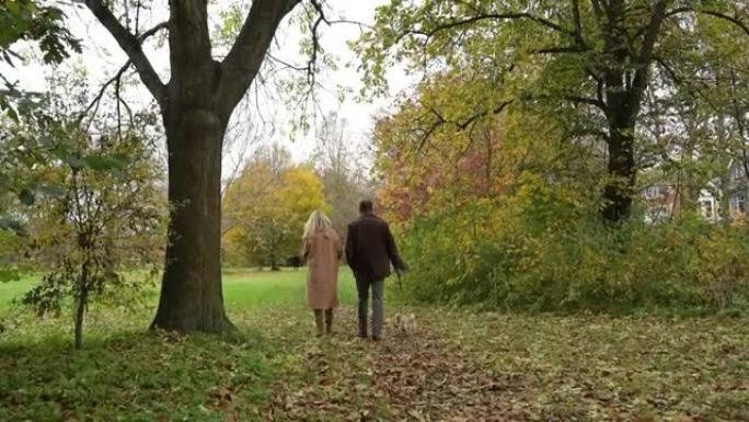 夫妇在秋天遛狗穿过自然公园