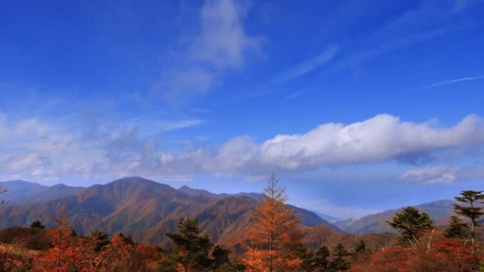 山上的秋树和山脉空镜头蓝天白云远山树木