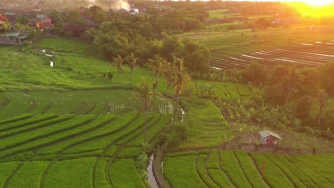 日落光时间巴厘岛飞行在著名的米台空中全景4k印度尼西亚