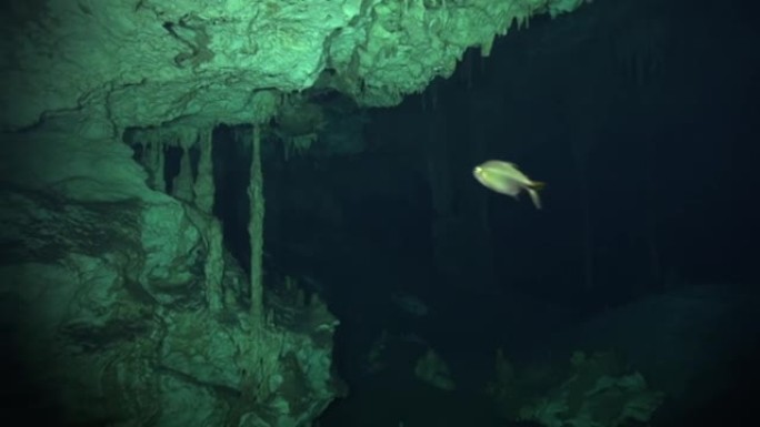 小鱼引领水下洞穴前进之路