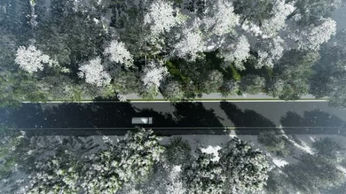 雪落在红色跑车和卡车上的道路上