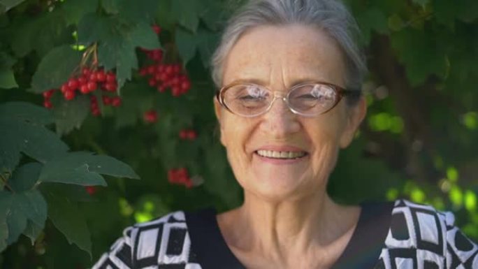 美丽的老奶奶白发，满脸皱纹，在绿树背景上带着微笑和快乐看着镜头，母亲节，快乐退休