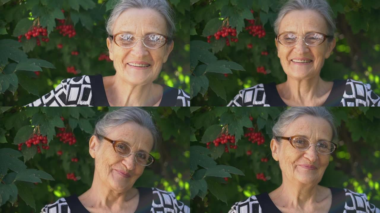 美丽的老奶奶白发，满脸皱纹，在绿树背景上带着微笑和快乐看着镜头，母亲节，快乐退休