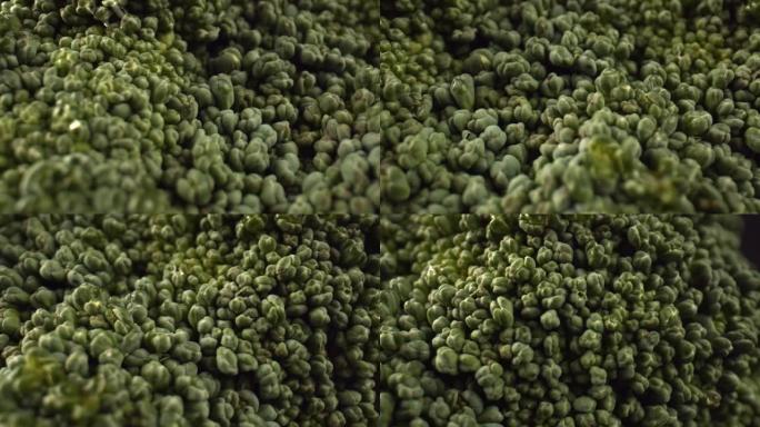 一群密集的绿色小西兰花芽，特写。准备吃的生蔬菜。白菜中微量元素和维生素含量高。