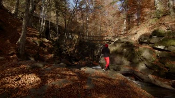 成年男子奔向森林中的岩山拍照。阳光明媚的秋天