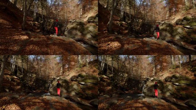 成年男子奔向森林中的岩山拍照。阳光明媚的秋天