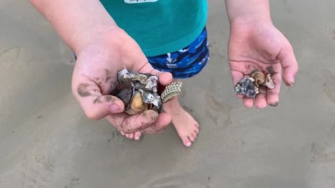 男孩把在海滩收集的贝壳带给他的妹妹