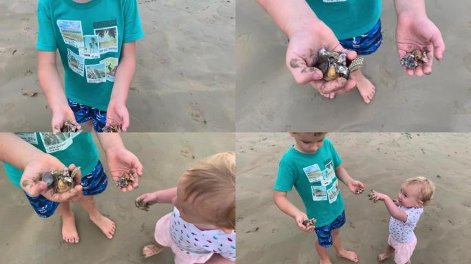 男孩把在海滩收集的贝壳带给他的妹妹