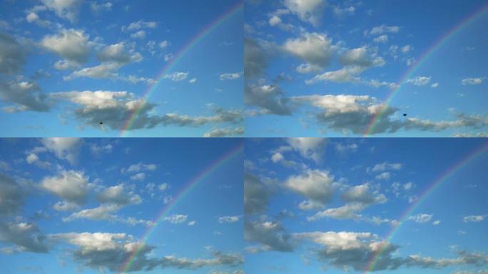 一只鸟在天空中飞过彩虹。希望概念