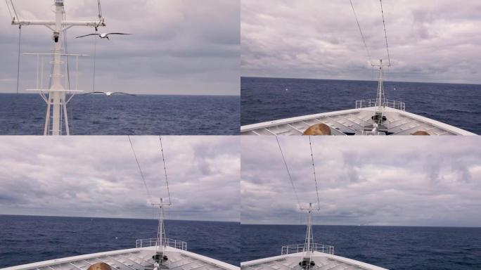 海鸟在海上飞行。它绕着游轮的桅杆飞行。