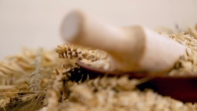燕麦谷物和新鲜小穗的组成。木碗与燕麦和燕麦片的小穗一起旋转。燕麦片作为饮食。