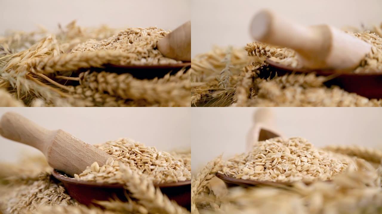 燕麦谷物和新鲜小穗的组成。木碗与燕麦和燕麦片的小穗一起旋转。燕麦片作为饮食。