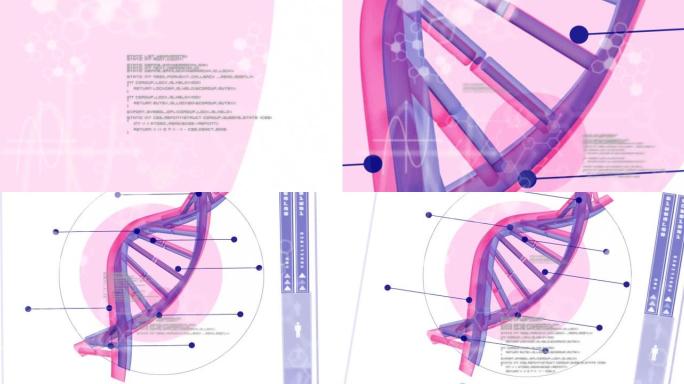 dna链纺丝上的科学数据处理动画