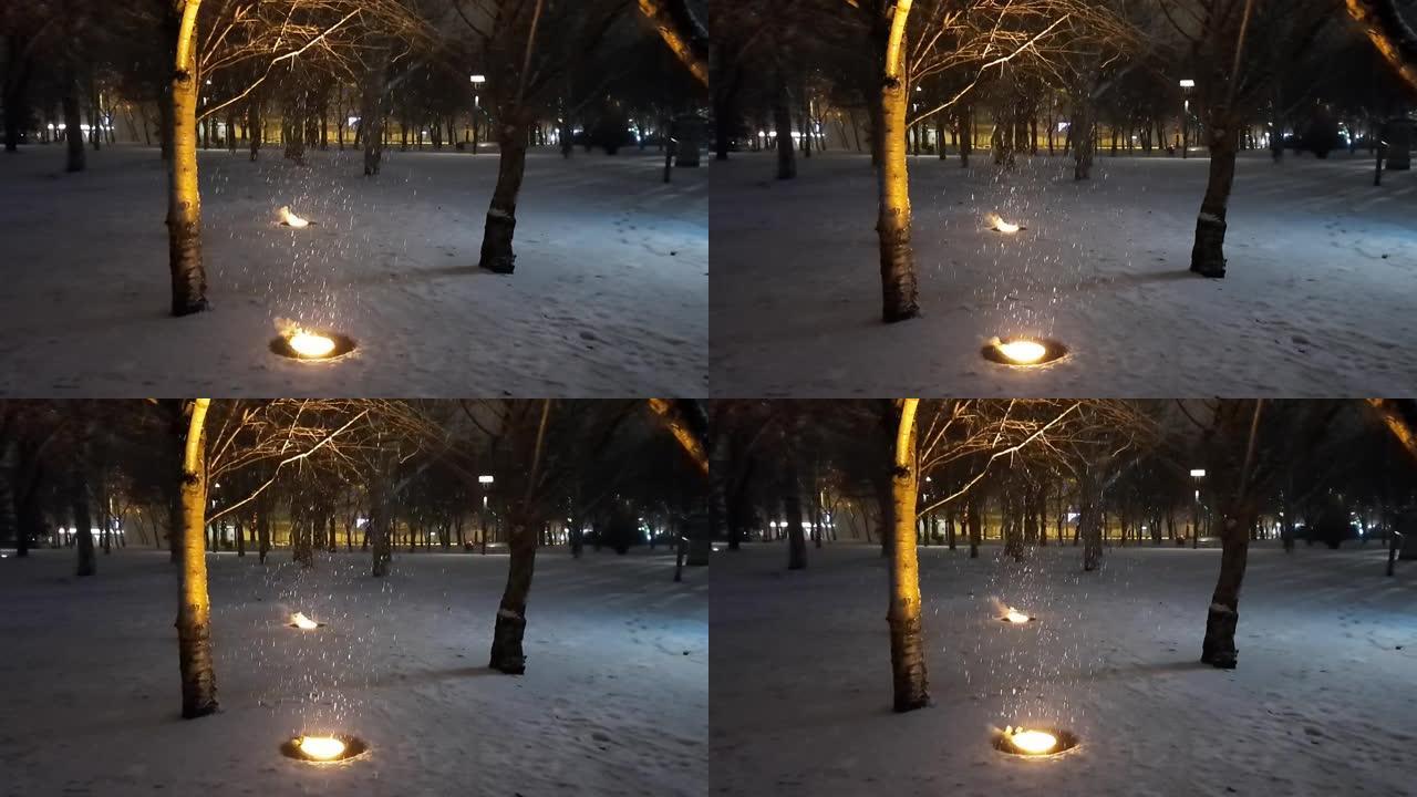圣诞节前，城市公园降下大雪。夜光下的雪。