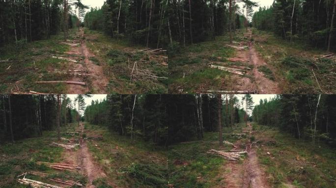 砍伐森林的无人机视图监控。追踪非法砍伐森林的四轴飞行器。无人机为环境服务。