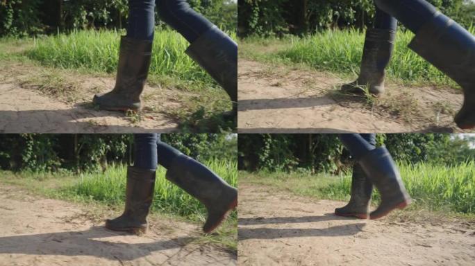 侧面特写一双黑色橡胶靴腿在夏日阳光明媚的阳光下走过一片绿色的农田，防水鞋兴高采烈地漫步在干燥的泥土土