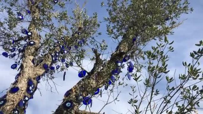 在阳光明媚的日子里，橄榄树上装饰着蓝色的恶眼珠子，衬着美丽的天空，祈求好运