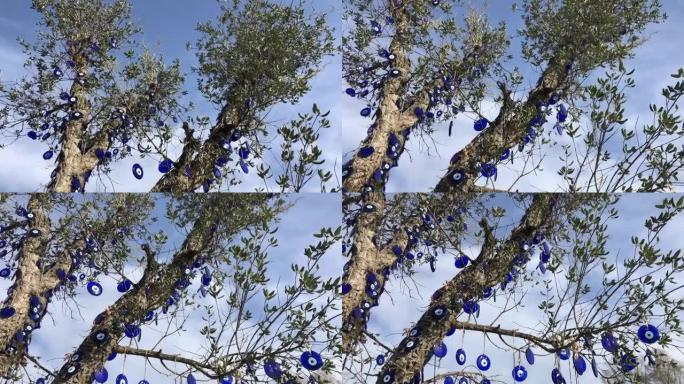 在阳光明媚的日子里，橄榄树上装饰着蓝色的恶眼珠子，衬着美丽的天空，祈求好运