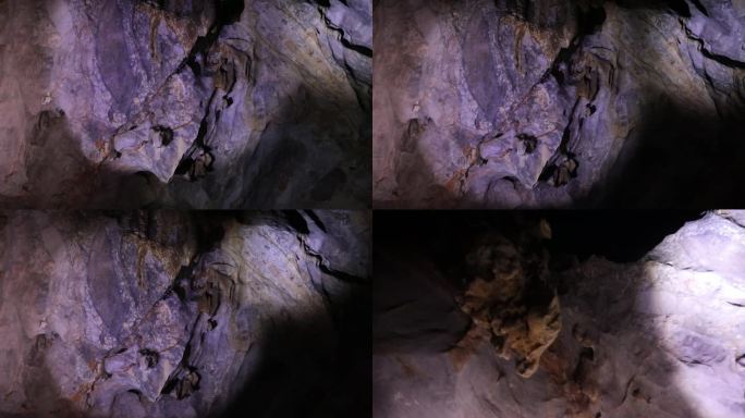 hl1地质考察-龙岩洞溶洞2