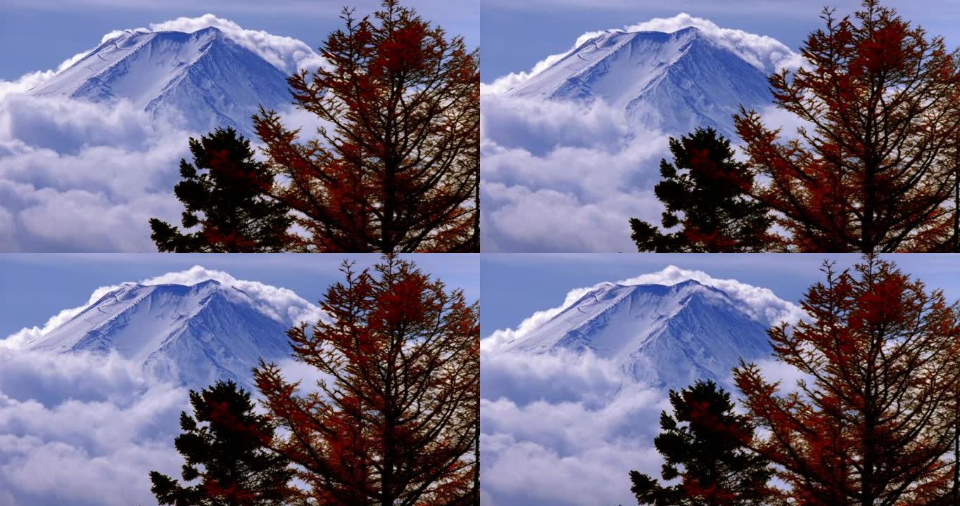 秋树，富士山和白云在风中流动