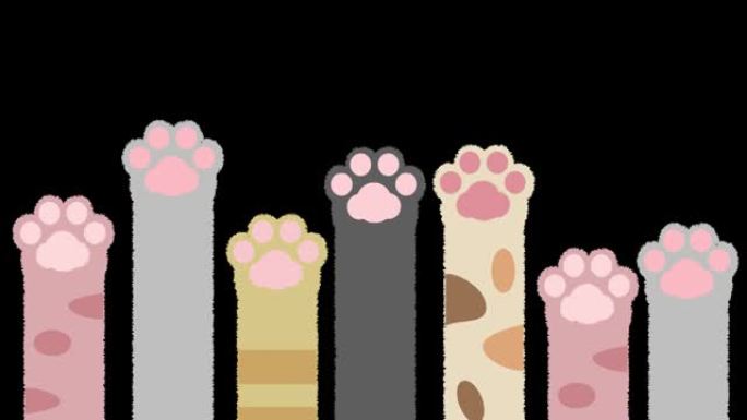 可爱的猫手动画帧重复与阿尔法通道