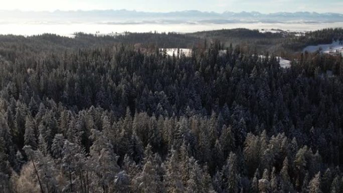 冬季景观，鸟瞰图。山上的白雪皑皑的森林和宽阔的山脉的全景。令人惊叹的未受破坏的冬季风景。