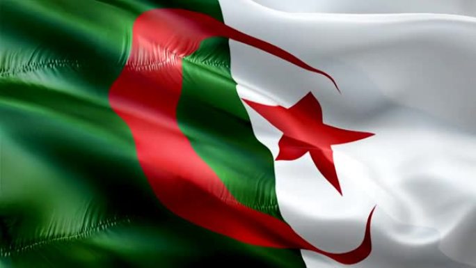 阿尔及利亚国旗。国家3d阿尔及利亚国旗挥舞。阿尔及利亚无缝循环动画的标志。阿尔及利亚国旗高清背景。阿