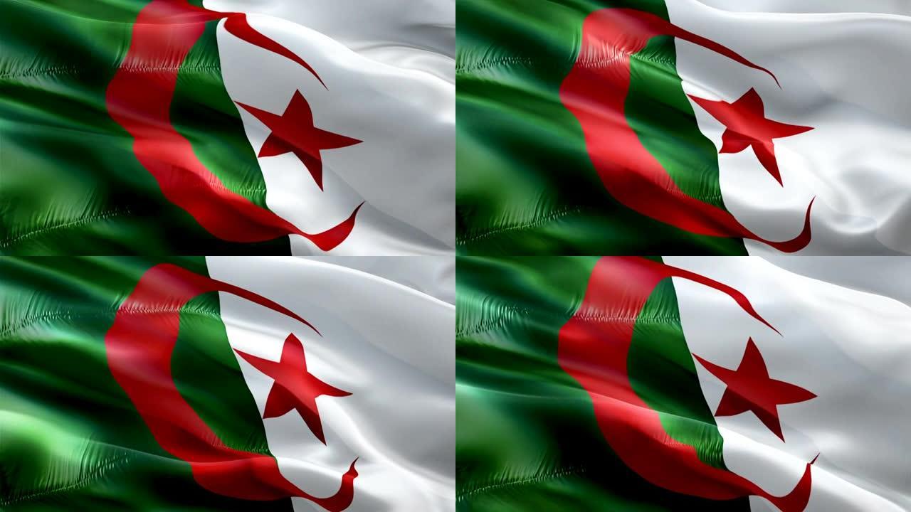 阿尔及利亚国旗。国家3d阿尔及利亚国旗挥舞。阿尔及利亚无缝循环动画的标志。阿尔及利亚国旗高清背景。阿