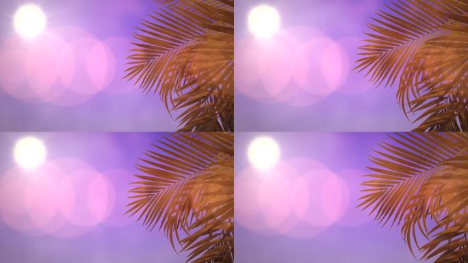 棕榈树和日落的热带景观
