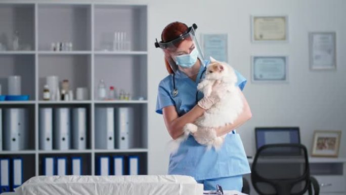 动物护理，年轻的女医生在医疗办公室里戴着医疗帽和口罩，怀里抱着家猫微笑着看着相机