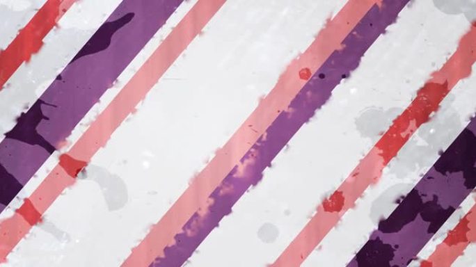 灰色背景上的紫色和粉红色条纹的动画