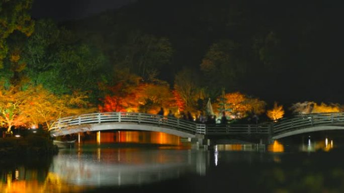 夜间照亮秋树枫叶、户外、天气、