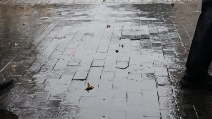 人们穿着靴子的脚在雨中行走。秋天城市街道上的大雨。秋天的树叶躺在下雨的路上