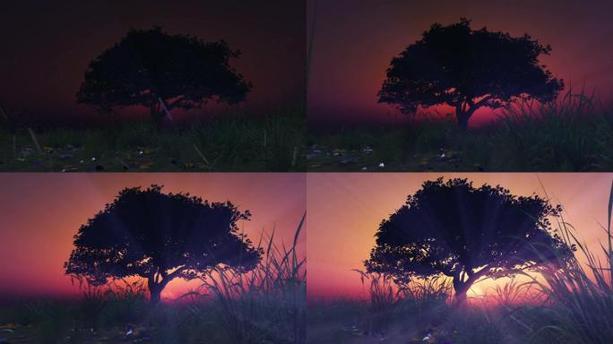 日出动画中的孤树