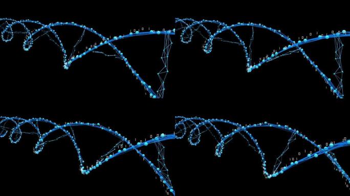 DNA神经丛