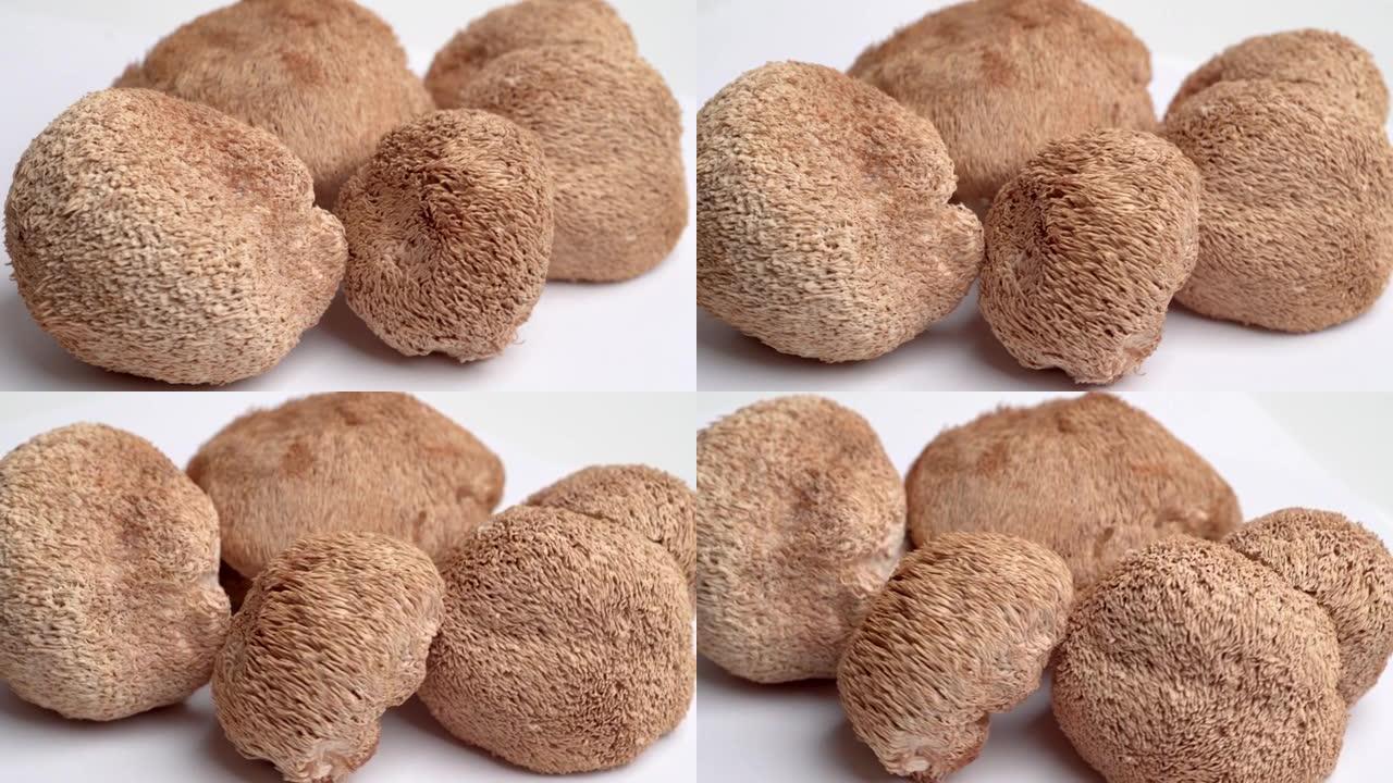 干狮鬃毛蘑菇或猴头菇也称为胡须牙菌，猴头菇，山竹