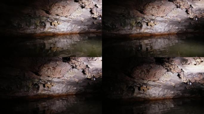 hl1地质考察-龙岩洞溶洞10
