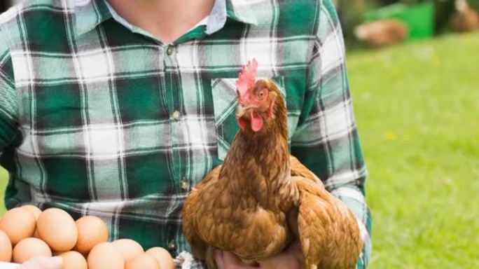 微笑的白人男性农民拿着自由放养的母鸡和鸡蛋在农家庭院
