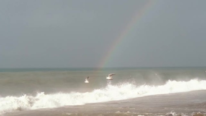 海上或海洋上的强烈波浪。暴风雨和雨后，彩虹出现在地平线上。