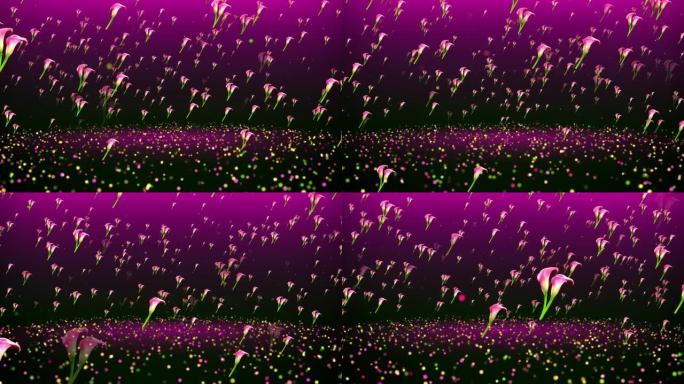抽象甜美旋转运动视图红色粉色马蹄莲百合花和闪光闪光尘埃飞扬闪烁闪光地板背景