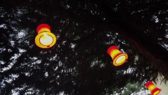可爱的彩色纸灯笼挂在绿树的树枝上