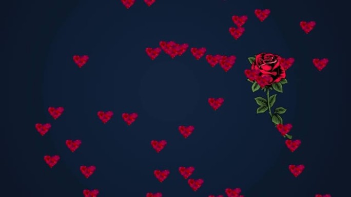 深蓝色背景下的心形和玫瑰动画
