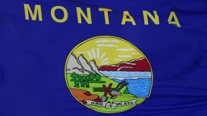 美国蒙大拿州的一面迎风飘扬的旗帜
