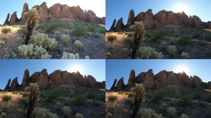 仙人掌植物和山崖的亚利桑那州自然背景