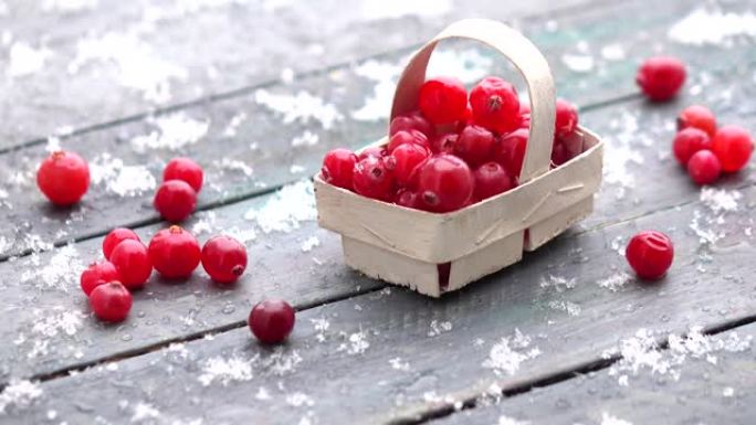桌子上篮子里的新鲜小红莓和雪