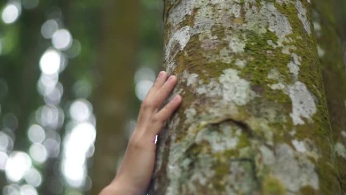 年轻女子用手轻轻地抚摸树