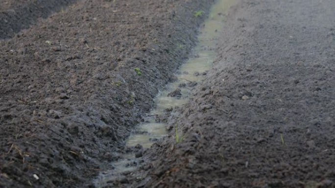 洒水器在花园中喷水在黑土上的水滴。田间喷灌系统。水对人和农业都有用。