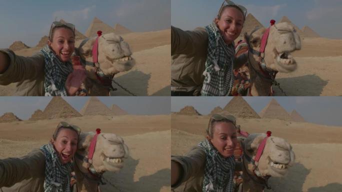 在埃及旅行的年轻女子与骆驼合影。女性在开罗的吉萨大金字塔观光，与骆驼合影。旅游概念
