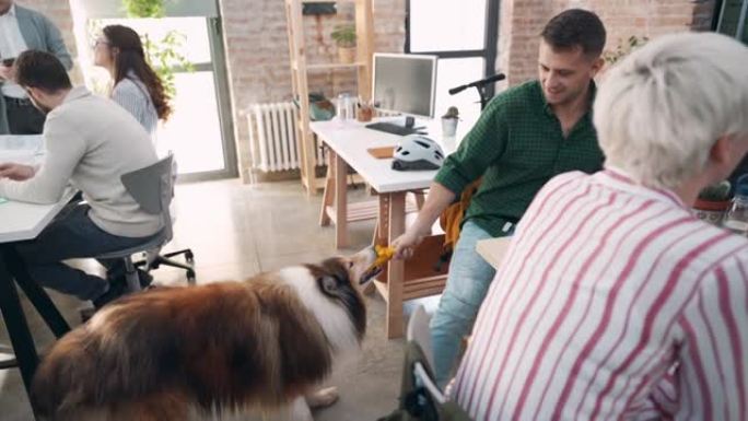快乐的男性企业家在宠物友好的办公室里和一只粗糙的牧羊犬玩耍