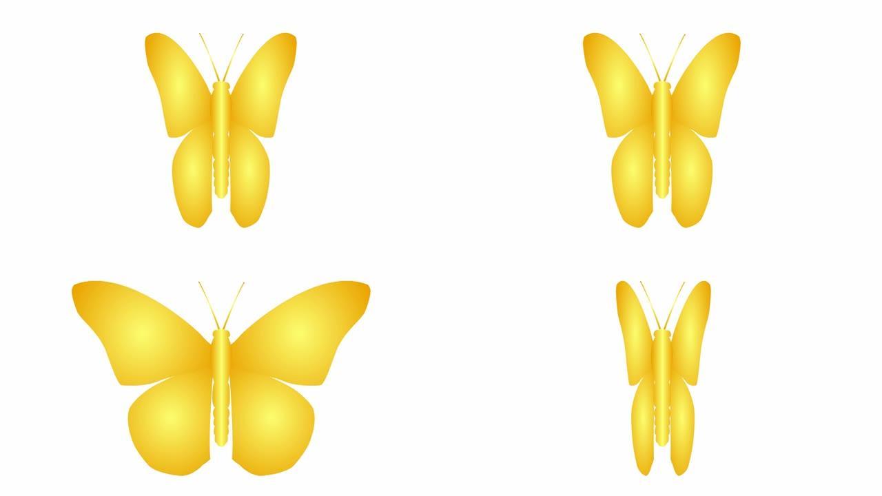 动画金色蝴蝶襟翼。循环视频。孤立在白色背景上的平面矢量插图。